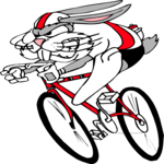 Cyclist - Rabbit