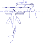 Boat Bitten by Shark 2