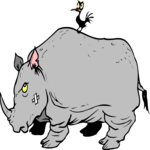 Rhino & Bird