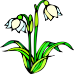 Snowdrop 3