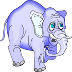 Elephant 18