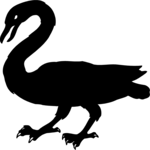 Swan