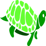 Turtle 2