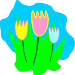 Tulips 04