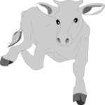 Cow 09