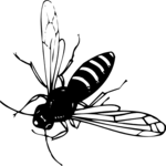 Bee 02