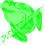 Frog 25