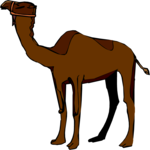 Camel 23