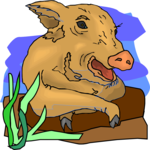 Pig 21 Clip Art