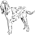 Dog 25