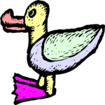 Duck 34