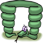 Snake - Contortionist Clip Art