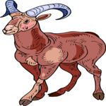 Sheep - Bighorn 7