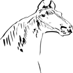 Horse 8