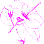 Flower 501