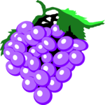 Grapes 05