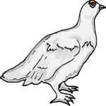 Bird 118