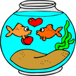 Goldfish in Love