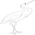 Crane 01