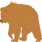 Bear 07