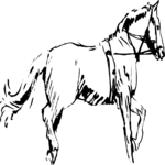 Horse 2