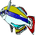 Rainbowfish 1 Clip Art