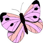 Butterfly 144 Clip Art