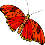 Butterfly 049