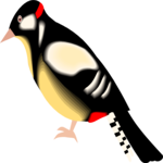 Woodpecker 02