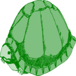 Turtle 5 Clip Art