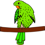 Parrot 10 Clip Art