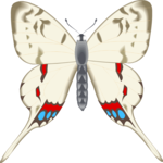 Butterfly 110