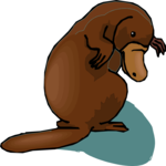 Platypus 2