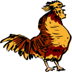 Rooster