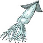 Squid 06 Clip Art