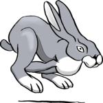 Rabbit 28