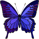 Butterfly 063