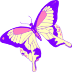Butterfly 141