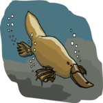 Platypus 2 Clip Art