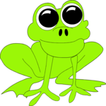 Frog 10