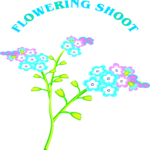 Flowering Shoot