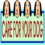 Care For Your Dog