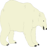 Bear - Polar 01