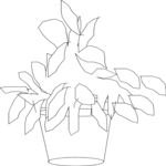 Plant 011