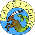 Capricorn 17