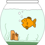 Goldfish 1