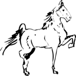 Horse 6