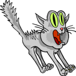 Cat - Scared 7