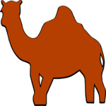 Camel 5
