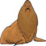 Elephant Seal 2